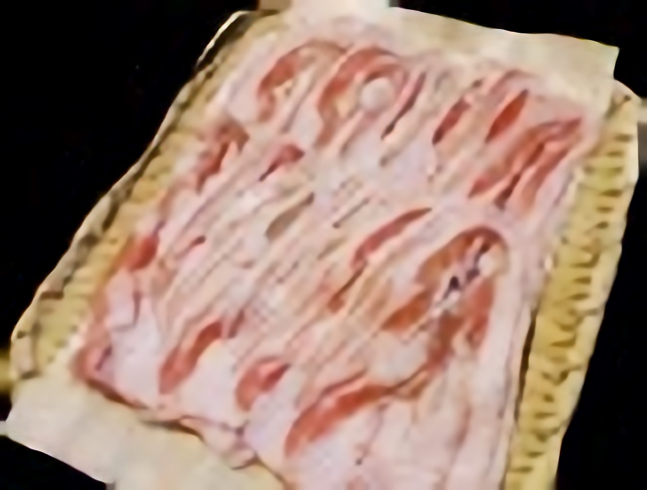 和豚もちぶた単品<br>100ｇ 847円