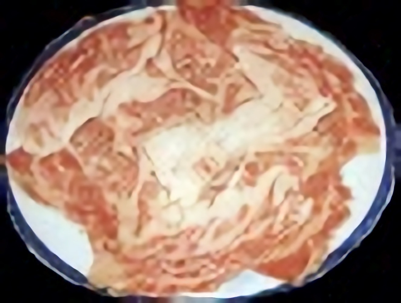 黒毛和牛単品<br>100ｇ 4,015円