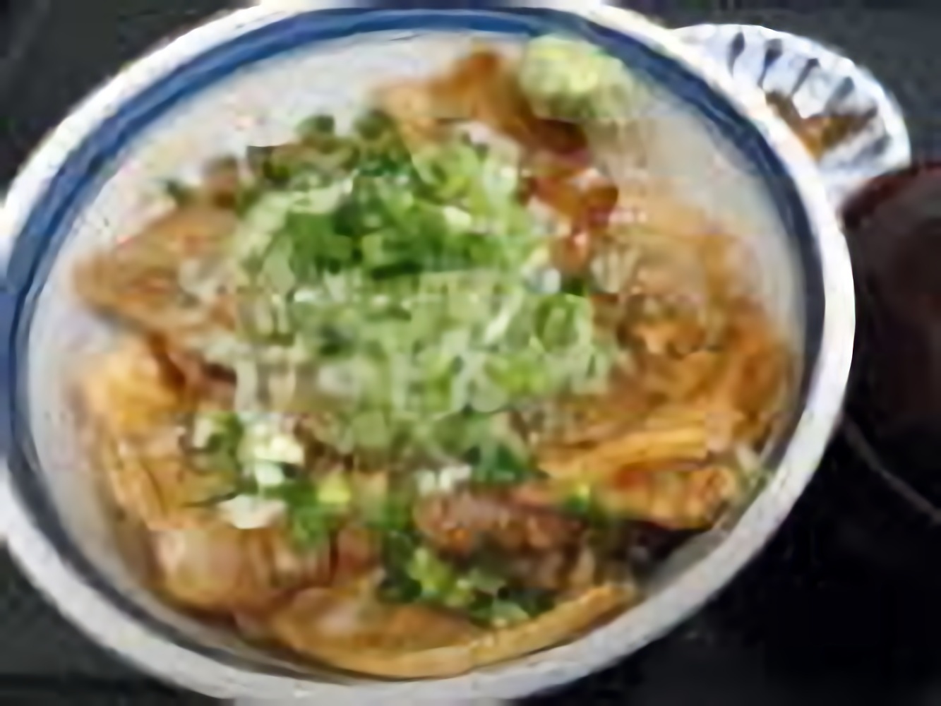 豚ネギ丼<br>1,078円