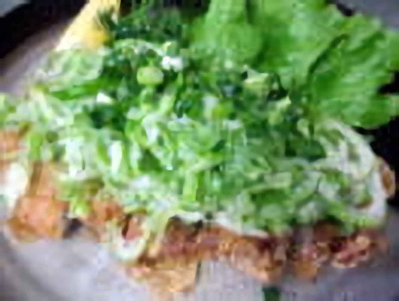 揚げ豚ネギぽん酢<br>1,485円